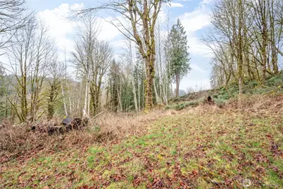 3021 Stella Road, Longview, WA 98632 - Photo 33