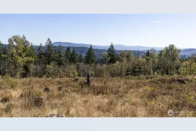 31807 NE 122nd Avenue, Battle Ground, WA 98604 - Photo 25