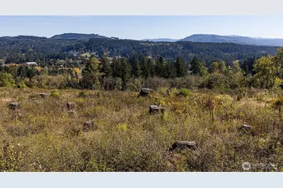 31807 NE 122nd Avenue, Battle Ground, WA 98604 - Photo 19