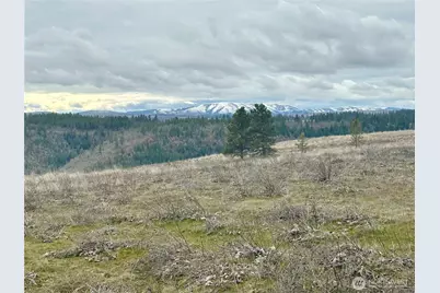 72 Winlock Road, Goldendale, WA 98620 - Photo 3