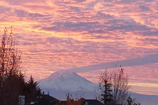 5214 Tower Dr NE, Tacoma, WA 98422 - Photo 31