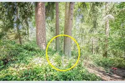 28 Buckhorn Place, Port Townsend, WA 98368 - Photo 13