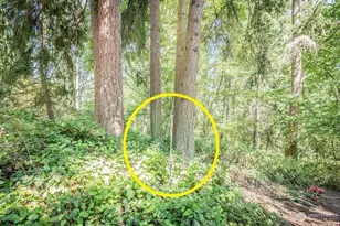 28 Buckhorn Pl, Port Townsend, WA 98368 - Photo 13