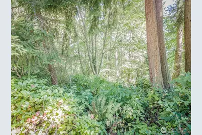 28 Buckhorn Place, Port Townsend, WA 98368 - Photo 11