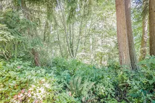 28 Buckhorn Pl, Port Townsend, WA 98368 - Photo 11