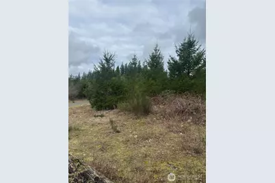 31101 SE Retreat-Kanaskat Road, Ravensdale, WA 98051 - Photo 7