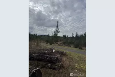 31101 SE Retreat-Kanaskat Road, Ravensdale, WA 98051 - Photo 5