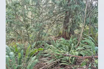 38766 Tinker Place NE, Hansville, WA 98340 - Photo 7