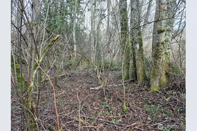 38766 Tinker Place NE, Hansville, WA 98340 - Photo 5