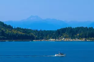 9549 Olympus Beach Rd NE, Bainbridge Island, WA 98110 - Photo 5