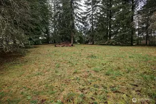 410 Studebaker Spur 2, Castle Rock, WA 98611 - Photo 23