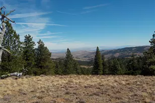 83 E Cayuse Mountain Rd, Tonasket, WA 98855 - Photo 31