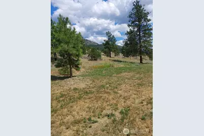 83 E Cayuse Mountain Road, Tonasket, WA 98855 - Photo 27