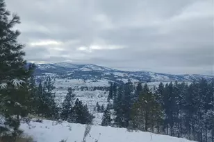 83 E Cayuse Mountain Rd, Tonasket, WA 98855 - Photo 33