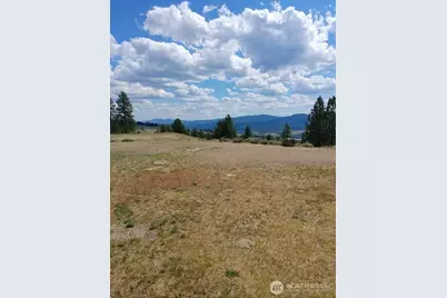 83 E Cayuse Mountain Road, Tonasket, WA 98855 - Photo 29