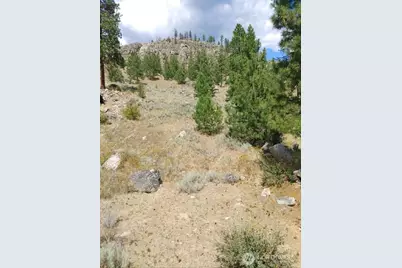 83 E Cayuse Mountain Road, Tonasket, WA 98855 - Photo 21