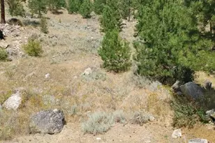 83 E Cayuse Mountain Rd, Tonasket, WA 98855 - Photo 21