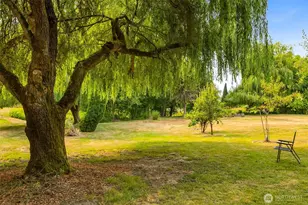 3725 Hollywood Dr NE, Olympia, WA 98516 - Photo 37