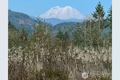 0 Salmon Creek Road, Mossyrock, WA 98564 - Photo 1