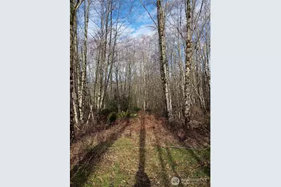 0 Salmon Creek Road, Mossyrock, WA 98564 - Photo 5