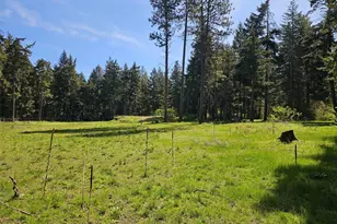 551 Pioneer Trail, Cle Elum, WA 98922 - Photo 19