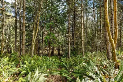 9581 NE Sigrids Court, Bainbridge Island, WA 98110 - Photo 35