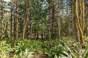 9581 NE Sigrids Ct, Bainbridge Island, WA 98110 - Photo 35