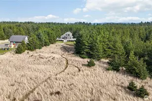 10911 Pacific Way, Long Beach, WA 98631 - Photo 33