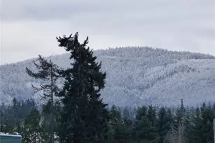 491 Mill Rd, Sequim, WA 98382 - Photo 5