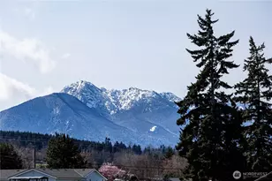 491 Mill Rd, Sequim, WA 98382 - Photo 7