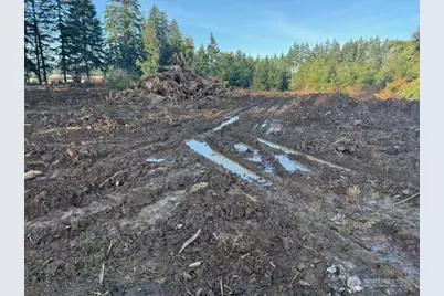 380 Hawkins Road, Winlock, WA 98596 - Photo 5