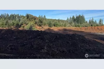 380 Hawkins Road, Winlock, WA 98596 - Photo 1