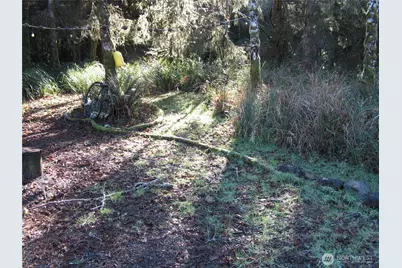 1704 320th Place, Ocean Park, WA 98640 - Photo 7