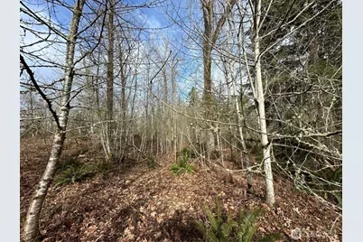 22 Xxx 212th Avenue SE, Maple Valley, WA 98038 - Photo 23