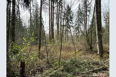 22 Xxx 212th Avenue SE, Maple Valley, WA 98038 - Photo 9