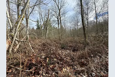 22 Xxx 212th Avenue SE, Maple Valley, WA 98038 - Photo 19