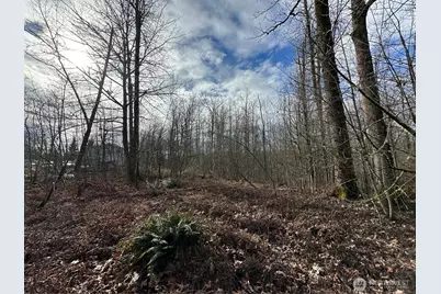 22 Xxx 212th Avenue SE, Maple Valley, WA 98038 - Photo 27