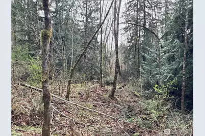 22 Xxx 212th Avenue SE, Maple Valley, WA 98038 - Photo 21