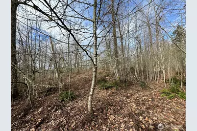 22 Xxx 212th Avenue SE, Maple Valley, WA 98038 - Photo 25