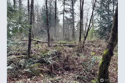 22 Xxx 212th Avenue SE, Maple Valley, WA 98038 - Photo 11