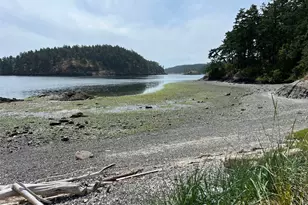 153 Chinook Way, Center Island, WA 98221 - Photo 27