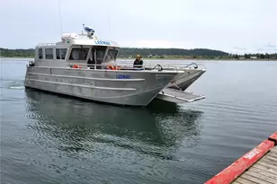 153 Chinook Way, Center Island, WA 98221 - Photo 29