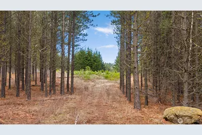 191 White Star Lane, Cle Elum, WA 98922 - Photo 7