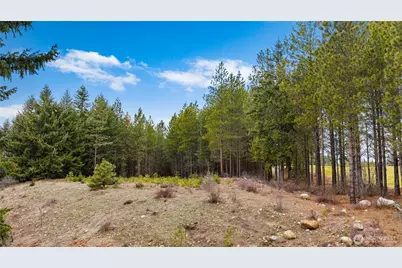 191 White Star Lane, Cle Elum, WA 98922 - Photo 9
