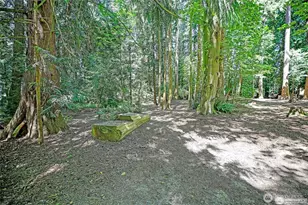 28407 Pioneer Hwy, Stanwood, WA 98292 - Photo 35