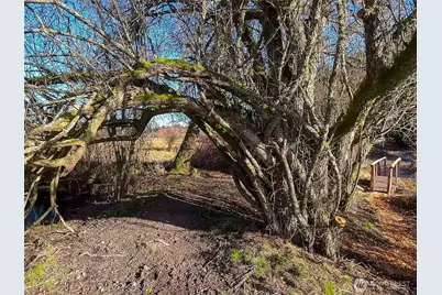 5662 Center Road, Chimacum, WA 98325 - Photo 19