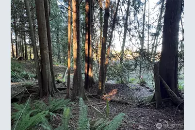 5662 Center Road, Chimacum, WA 98325 - Photo 13