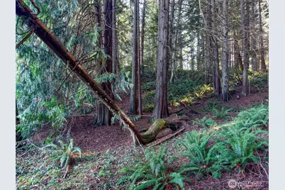 5662 Center Road, Chimacum, WA 98325 - Photo 11