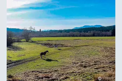 5662 Center Road, Chimacum, WA 98325 - Photo 3