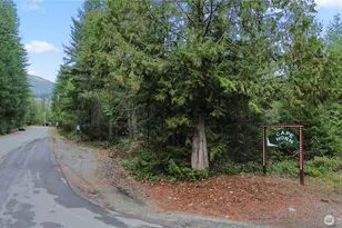 41557 Cape Horn Dr, Concrete, WA 98237 - Photo 31